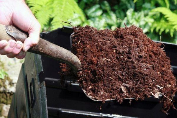 ฮิวมัสสำหรับมะเขือเทศ