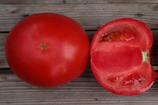 เยื่อกระดาษคิโบ