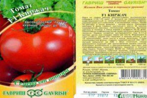 คำอธิบายเกี่ยวกับมะเขือเทศลูกผสม Kirzhach และการปลูกจากเมล็ด