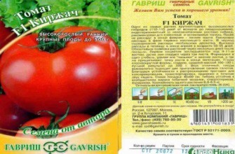 ลักษณะของมะเขือเทศ