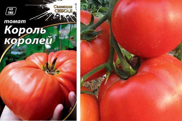 Graines et tomates
