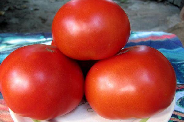 มะเขือเทศบนจาน