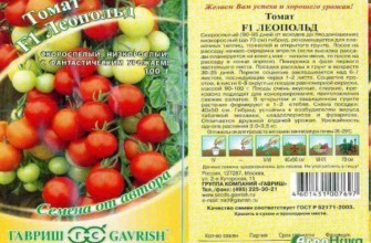 ลักษณะของมะเขือเทศ