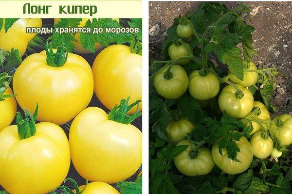 tomates jaunes