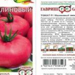 ลักษณะของมะเขือเทศ