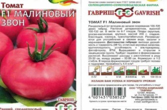 ลักษณะของมะเขือเทศ