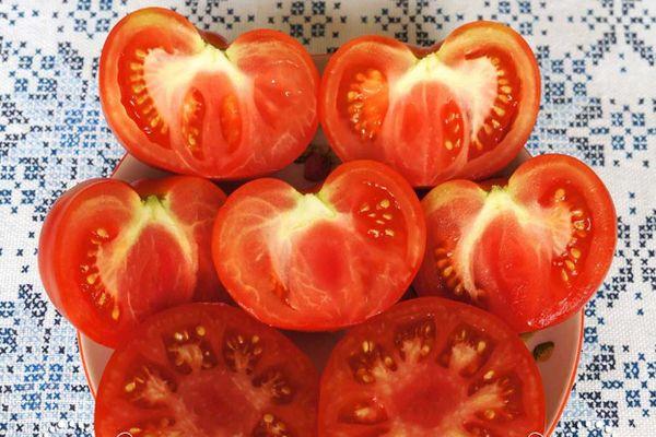pulpe de tomate