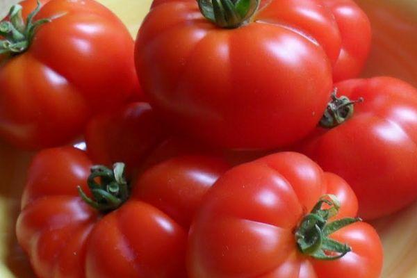 tomates Marmande
