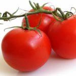 กิ่งที่มีมะเขือเทศ