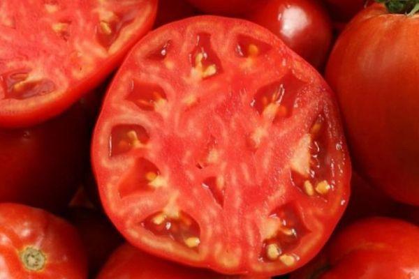 pulpe de tomate