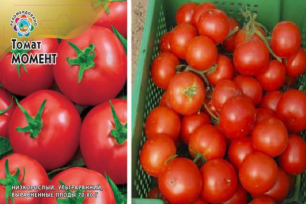โมเมนต์มะเขือเทศ