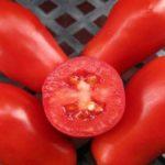 เนื้อมะเขือเทศ