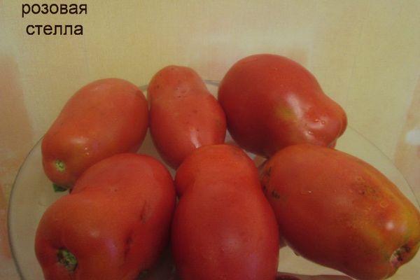 Fruits de tomate