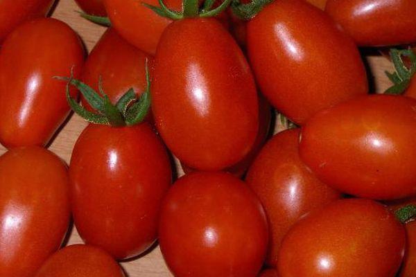 tomates roses
