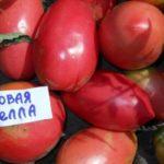 มะเขือเทศสีชมพู