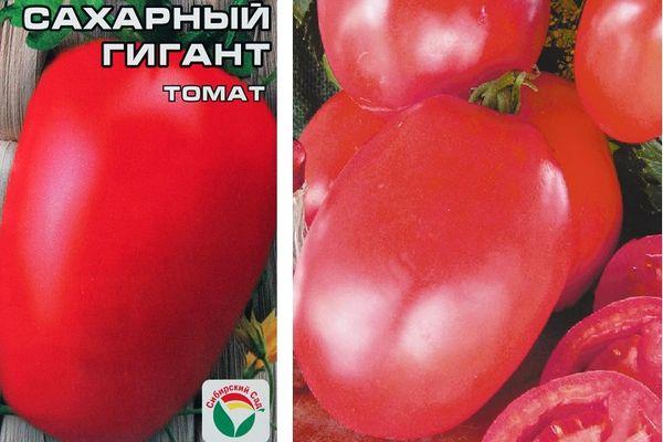 เมล็ดมะเขือเทศ