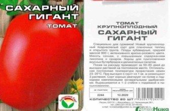 มะเขือเทศน้ำตาล