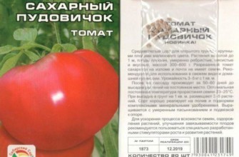 ลักษณะของมะเขือเทศ