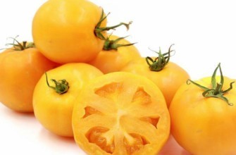 มะเขือเทศสีเหลือง