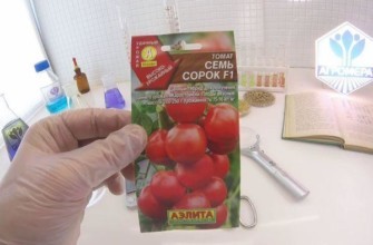 เมล็ดพันธุ์หนึ่งแพ็ค