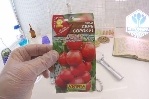 เมล็ดพันธุ์หนึ่งแพ็ค