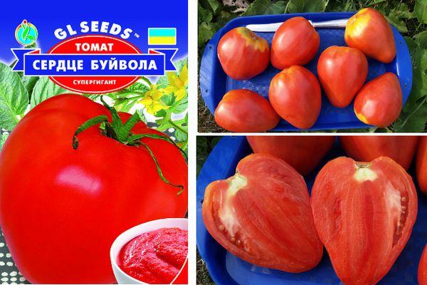 มะเขือเทศขนาดใหญ่