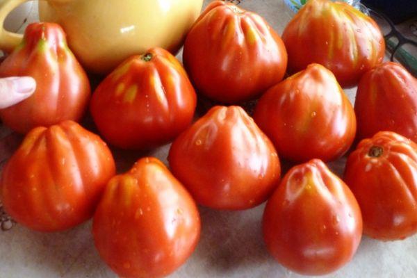 มะเขือเทศสุก