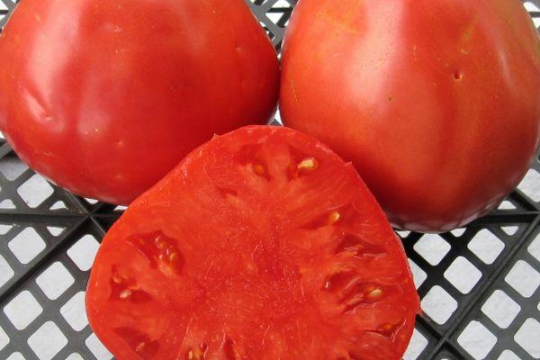 เนื้อมะเขือเทศ