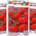 ซองเมล็ดพันธุ์