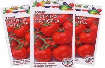 ซองเมล็ดพันธุ์