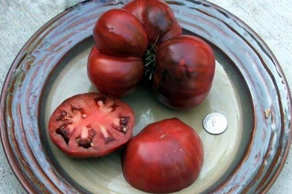 เนื้อมะเขือเทศ