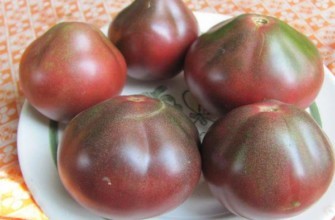 จานใส่มะเขือเทศ