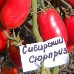 มะเขือเทศไซบีเรีย