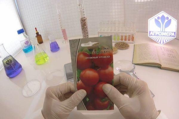 เมล็ดพันธุ์หนึ่งแพ็ค