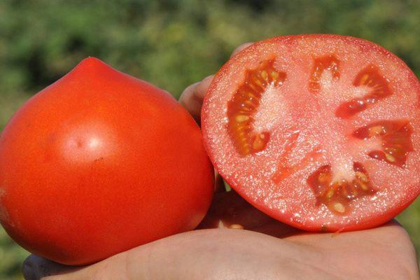 เนื้อมะเขือเทศ