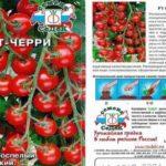 ลักษณะของมะเขือเทศ