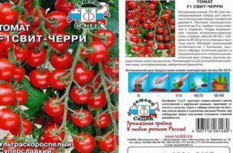 ลักษณะของมะเขือเทศ