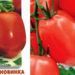 เมล็ดพันธุ์และมะเขือเทศ