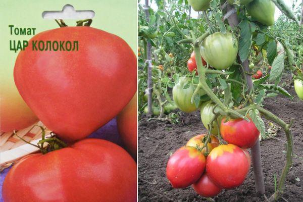 Cultiver des tomates