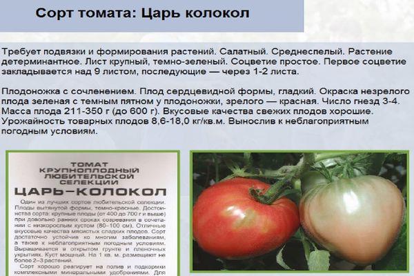 Description de la tomate