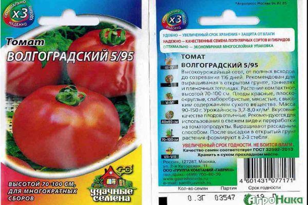 ลักษณะของมะเขือเทศ