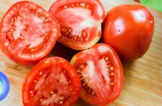 เนื้อมะเขือเทศ