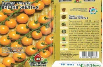 ลักษณะของมะเขือเทศ