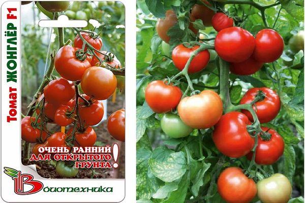 นักเล่นกล