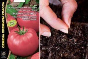 ลักษณะของมะเขือเทศ Znatny Tolstyak f1 และลักษณะของลูกผสม