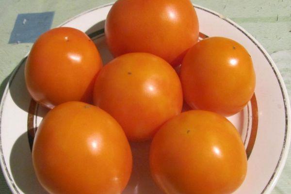 Une assiette de tomates