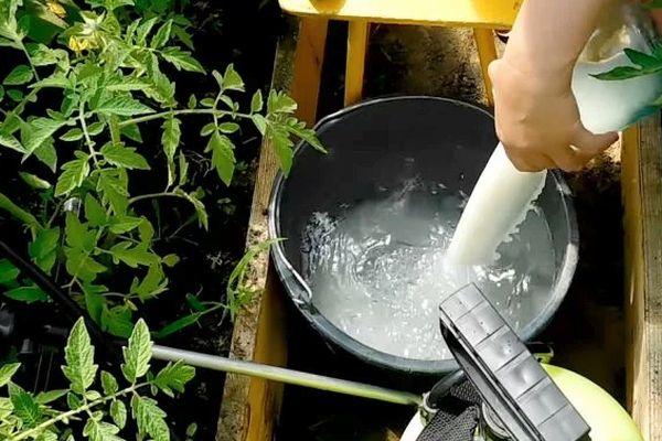 การเตรียมปุ๋ย