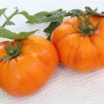 มะเขือเทศสองลูก