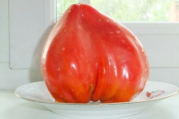 หัวใจกระทิงมะเขือเทศ