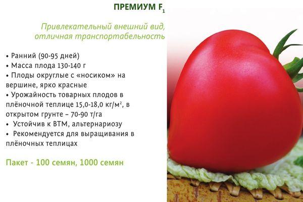 มะเขือเทศพรีเมียม f1